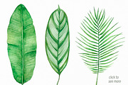 Tropic life Watercolor set, an Animal Illustration by Green_leaf_17 (Thumbnail 2 of 6)
