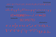 Angelisa, a Script Font by NaldyStudio (Thumbnail 9 of 11)