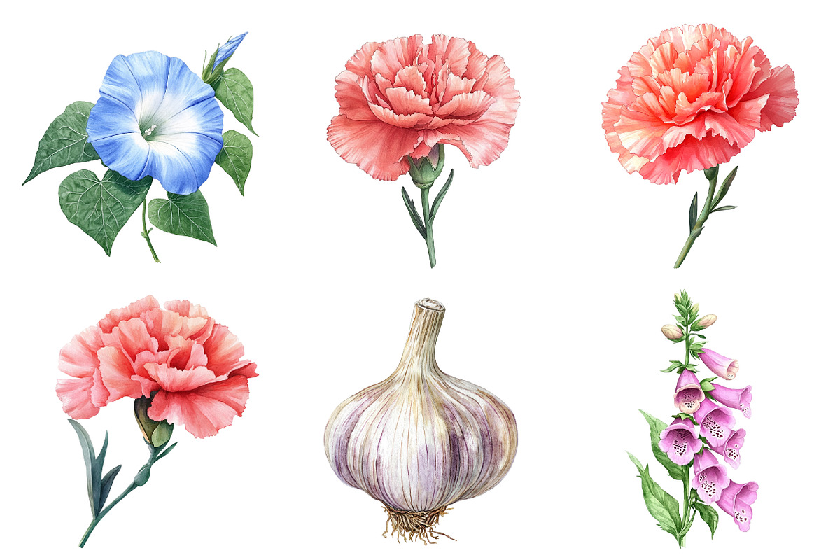 Watercolor Vintage Botanical Clipart, a Seasonal Illustration by CitraGraphics (Photo 5 of 9)