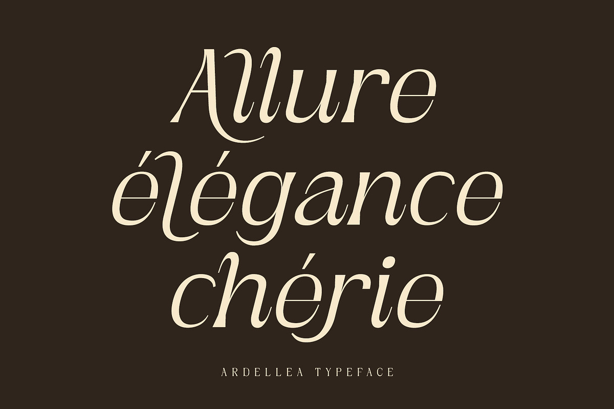 Ardellea, a Serif Font by din-studio.com (Photo 12 of 16)