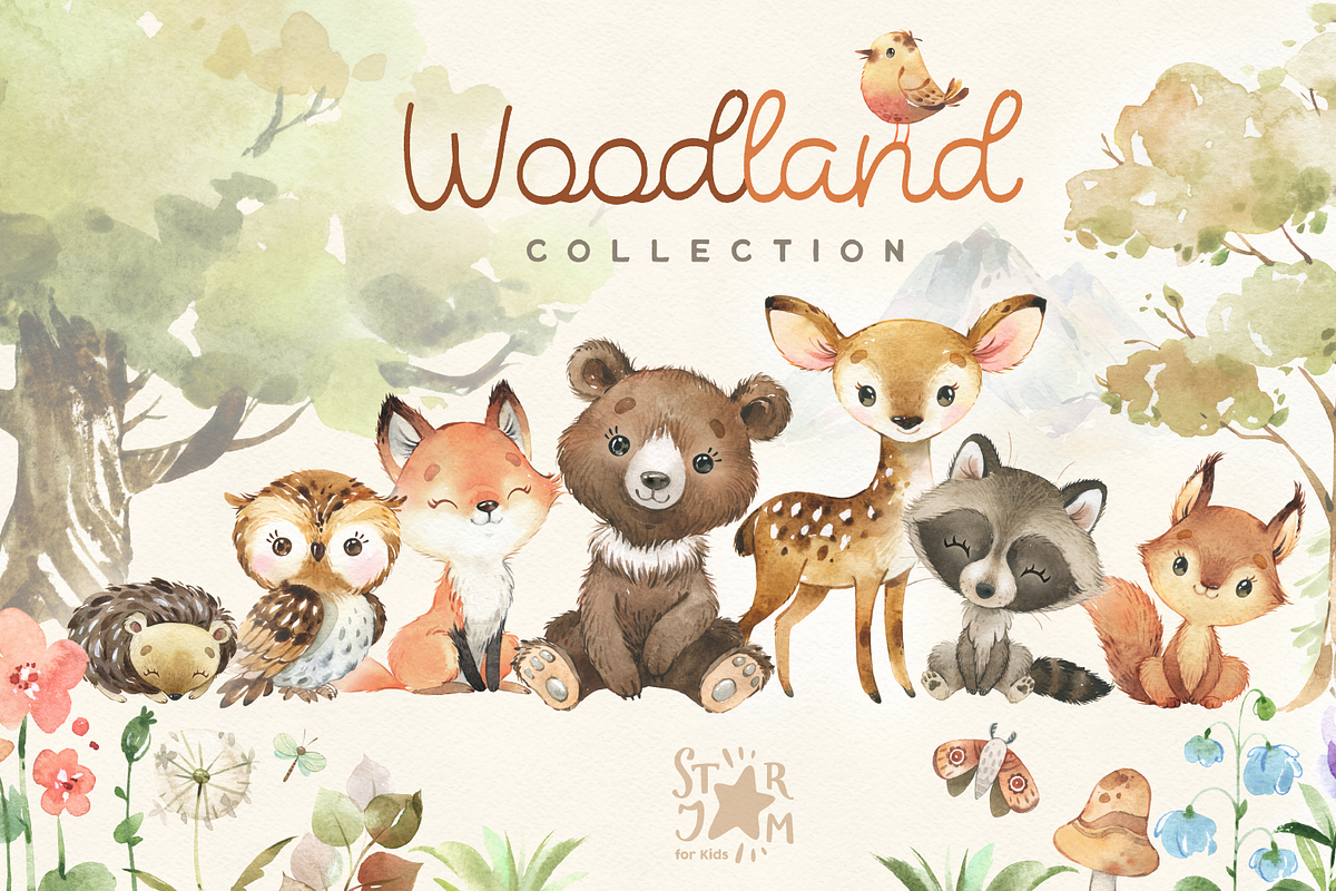 Woodland. Animal Collection, an Animal Illustration by StarJam (Photo 1 of 9)