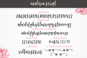 Malisia Script, a Script Font by Genesis Lab (Thumbnail 7 of 7)