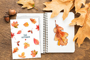Autumn leaves. Watercolor clipart, an Illustration by VerAna (Thumbnail 4 of 8)