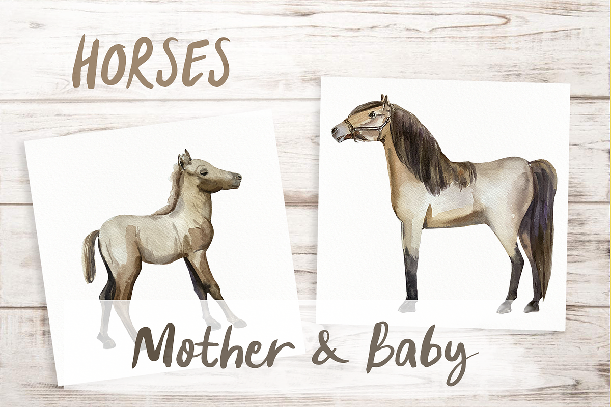 Horse Life Cycle Clip Arts and Print, an Animal Illustration by Tati Bordiu (Photo 2 of 4)
