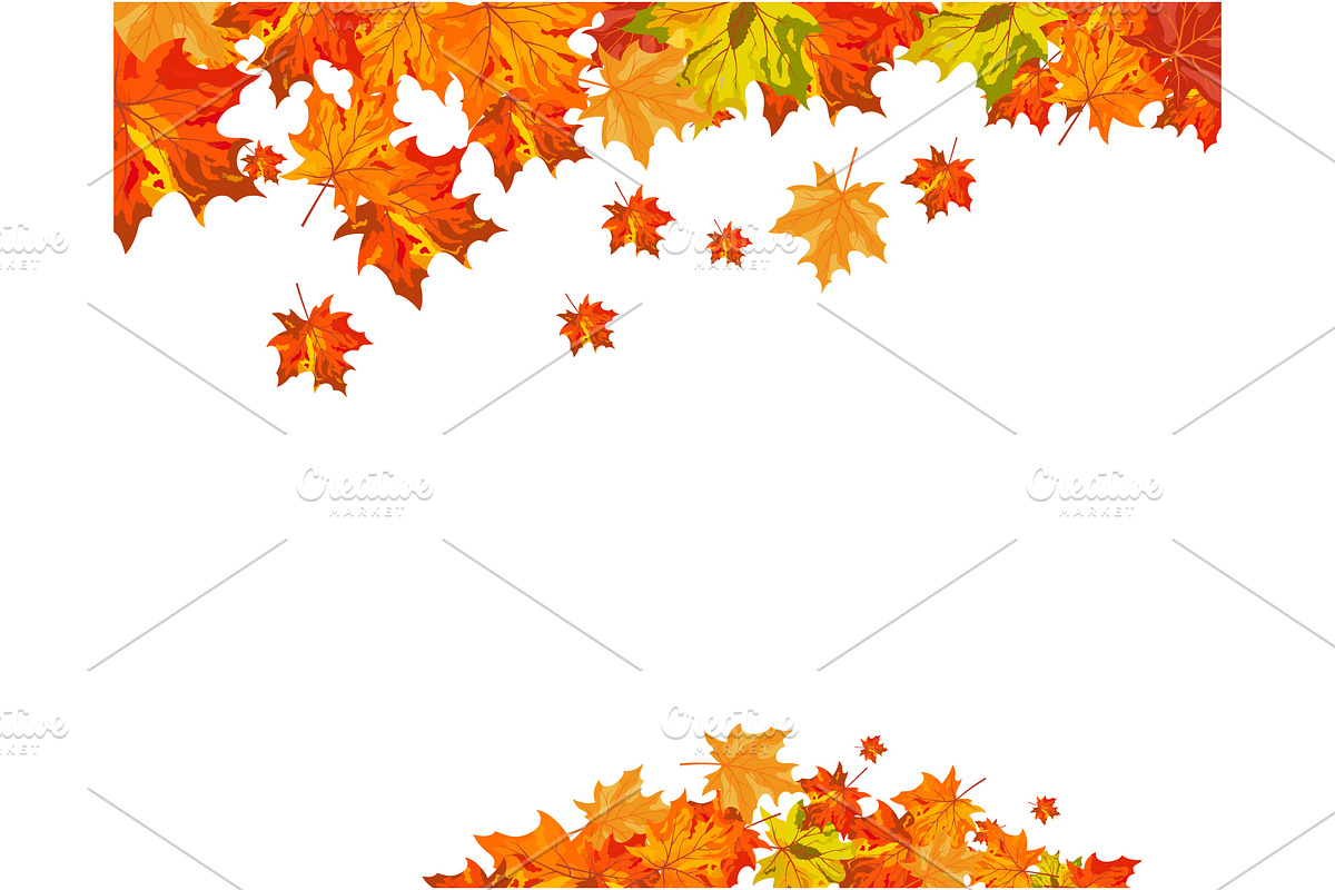 Autumn Leaves Border Set, a Decorative Illustration by Pavel Vectors (Photo 6 of 8)