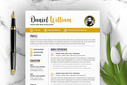 JOB WINNING RESUME - 50 TEMPLATES, a Resume Template by ResumeInventor (Thumbnail 62 of 184)