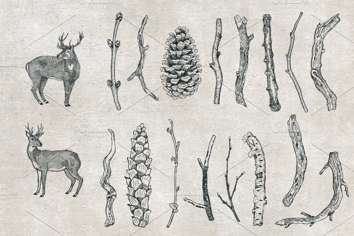 Twigs Frames, objects, patterns, an Object Graphic by Nenilkime (Photo 5 of 5)
