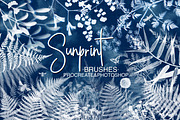 Sunprint Brushes Procreate/PS, a Brush Add-On by OlgaRom (Thumbnail 1 of 8)