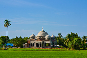 Mosque in the Middle of Rice Fields, an Architecture Photo by bastera