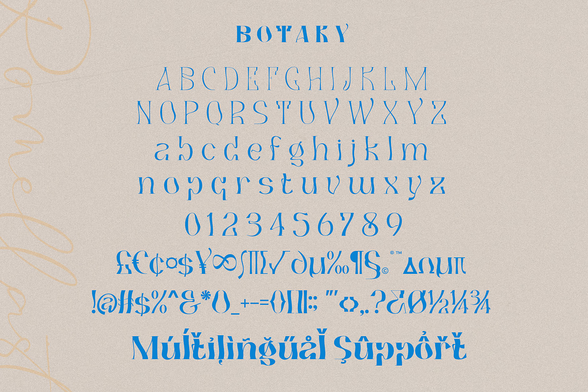 BOTAKY Romellast, a Serif Font by alit design (Photo 17 of 19)