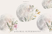 SPIRITUAL, an Animal Illustration by Chus Moreno Studio (Thumbnail 9 of 17)