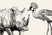 60 Wildlife Animal Illustrations, an Animal Illustration by Vectorian (Thumbnail 5 of 6)