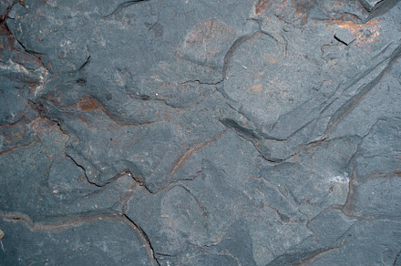Photo of gray stone, close-up, a Nature Photo by Sergey Mironov's store