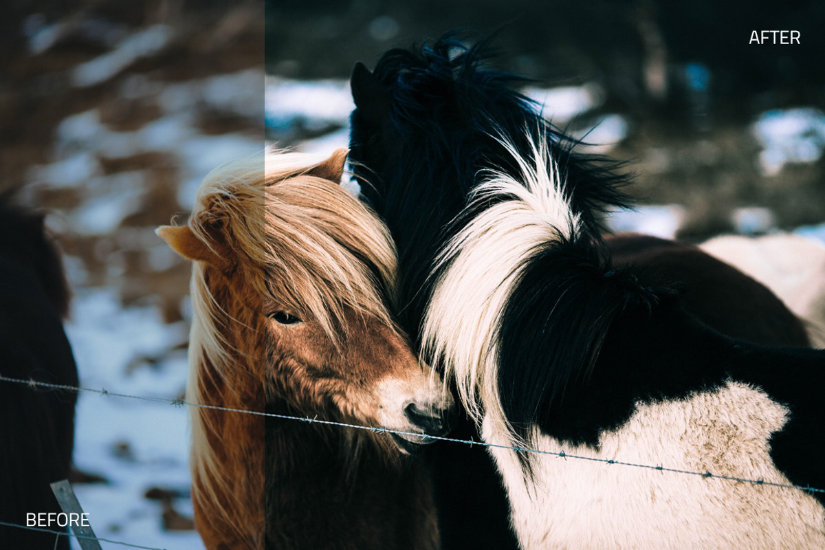 Wintertone Lightroom Presets preview 2