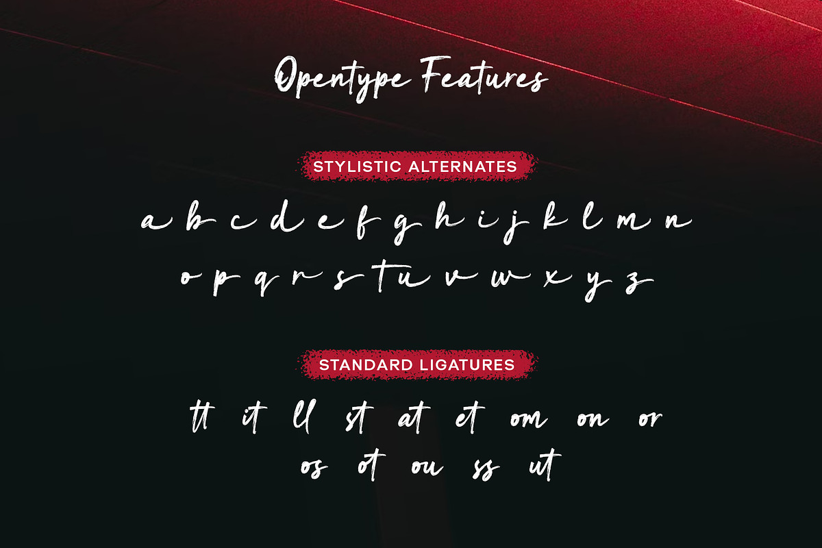 Rillonia brush font, a Script Font by nizarbagasm (Photo 5 of 6)