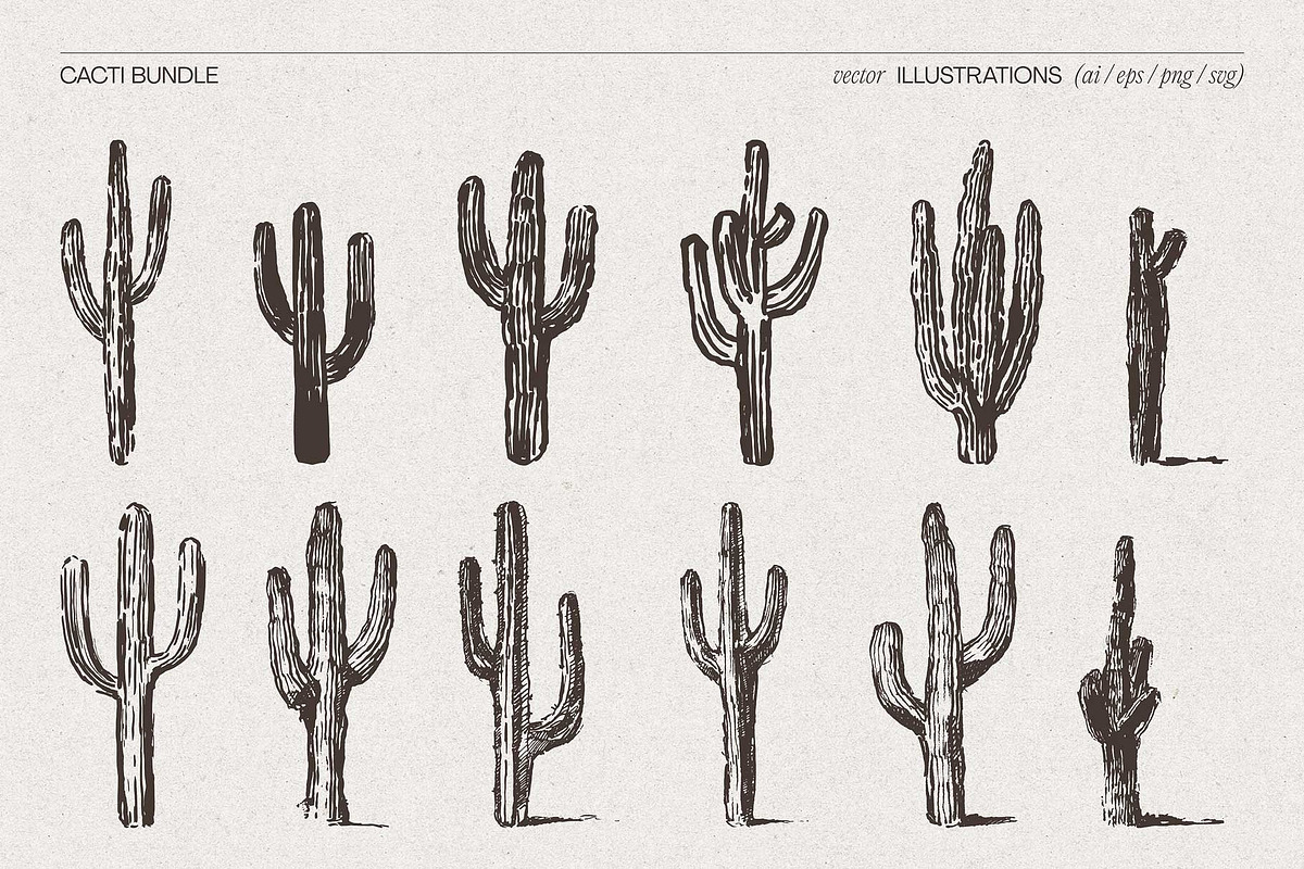 Sketch Cacti Vector Bundle, a Seasonal Illustration by TheMountBirdStudio (Photo 8 of 14)