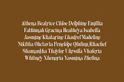 Blenisa Modern Beautiful Font, a Serif Font by RantautypeStudio (Thumbnail 3 of 17)
