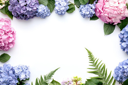 Hydrangea floral arrangement, a Photo by Beautiful things