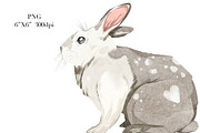 Watercolor Easter Clipart. Rabbit, an Animal Illustration by NKTKNS (Thumbnail 4 of 4)