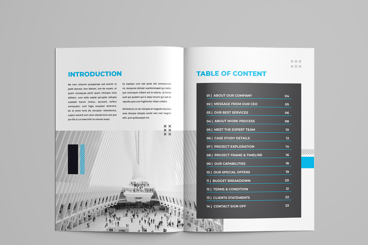 Minimal Business Project Proposal, a Brochure Template by mijli (Photo 2 of 14)