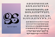 Switella - Modern Decorative Font, a Serif Font by TypeClassHeroes (Thumbnail 9 of 10)