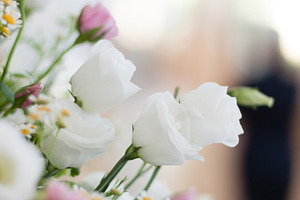 Wedding molfetta stock picture