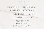 Milssky || Modern & Classy Ligature, a Serif Font by BrandSemut (Thumbnail 13 of 16)