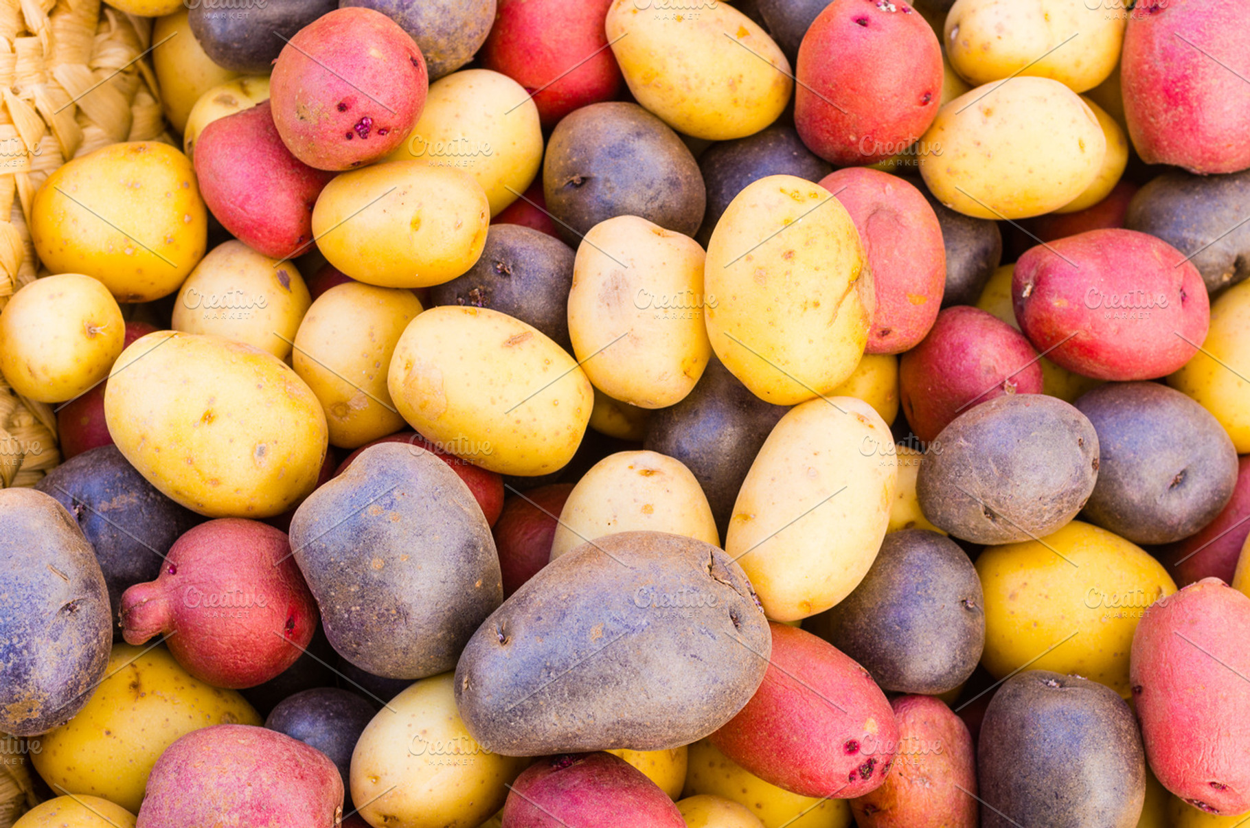 Colorful Fresh Potatoes On Display