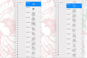 Stamp Brushes For Procreate Peonies