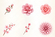 Blush Flower Clipart, an Illustration by CrexoraLab (Thumbnail 2 of 5)