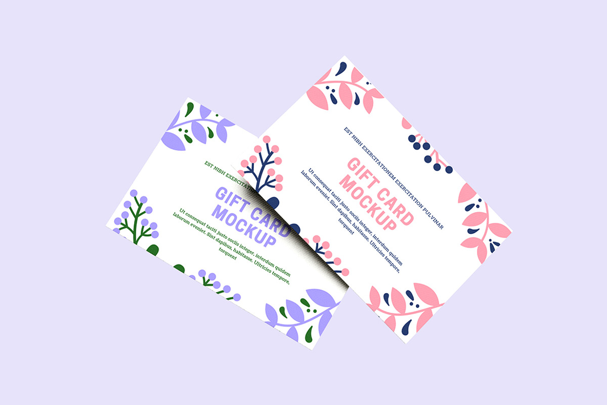 Clean Gift Card Mockup, an Advertising Mockup by My Code Std (Photo 3 of 6)
