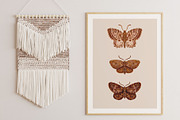 Watercolor Butterflies and Moths, an Object Graphic by Tiger and Flower (Thumbnail 2 of 17)