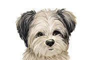 Poodle Cross Breeds 27 Dogs/Puppies, an Animal Illustration by Dneprstock (Thumbnail 13 of 27)