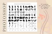 TORSO - Photoshop & Procreate Stamps, a Brush Add-On by Struvictory.art (Thumbnail 3 of 8)