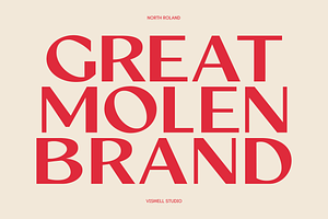 North Roland - Display Sans Serif