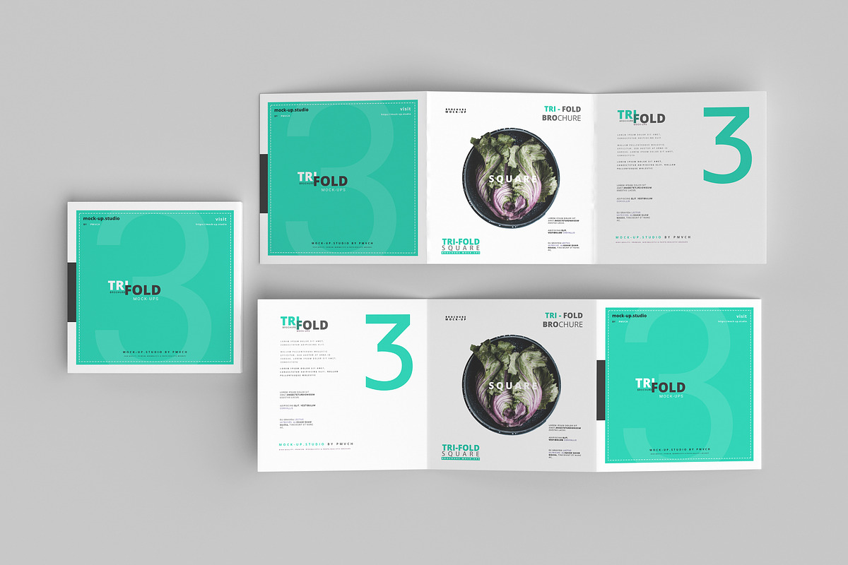165 Brochure Mock-ups Big Bundle, a Print Template by pmvch (Photo 51 of 170)