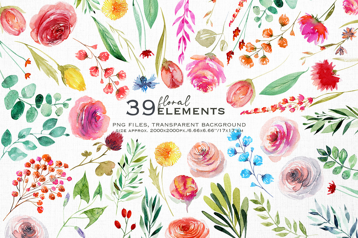 Wild flowers collection, a Texture Illustration by Skliarova (Photo 2 of 11)