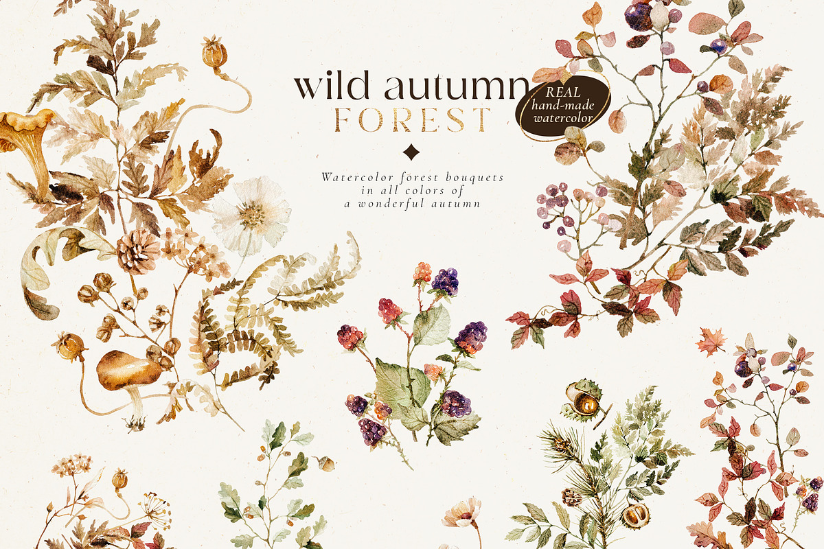 Wild autumn forest - watercolor fall, an Animal Illustration by Pamyatka Shop (Photo 5 of 16)
