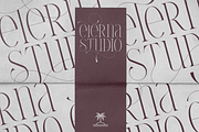 Thorn & Tale – A Refined Serif Font, a Serif Font by VP Fonts (Thumbnail 3 of 30)