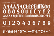 Wilson Hawk - Modern Serif Typeface, a Serif Font by overlaytemplates (Thumbnail 6 of 6)