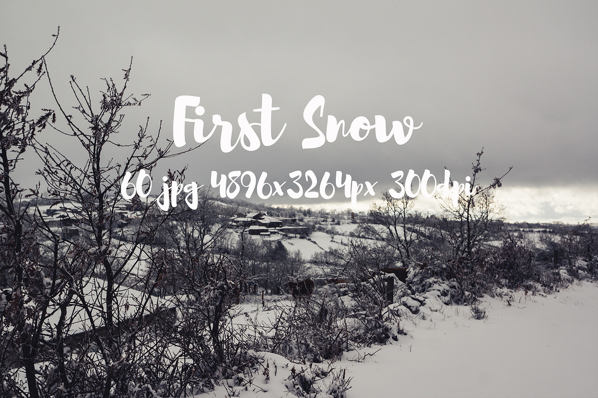 First Snow, a Templates & Theme by ApertureVintage (Photo 12 of 26)
