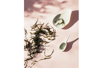 Dried seaweed and powder with white, a Health & Medical Photo by Rodica Ciorba