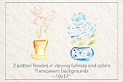 Soft Garden Watercolor Flowers, a Decorative Illustration by Bbooth88 (Thumbnail 4 of 8)