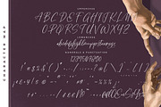 Silentone Barcelona Modern Script, a Script Font by Letterena Studios Script (Thumbnail 13 of 15)