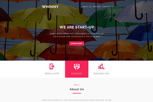 WHINNY - Responsive Email Template