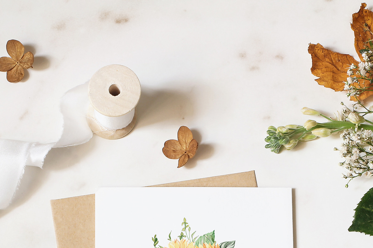 Watercolor Gardening Time, a Food Illustration by Olga Koelsch (Photo 3 of 19)