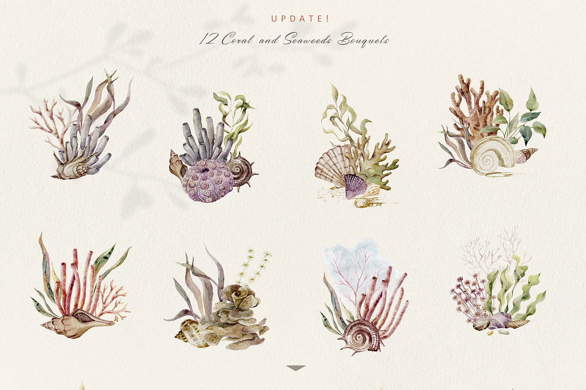 Underwater Magic. Marine Bundle., an Animal Illustration by Designwork (Photo 4 of 21)