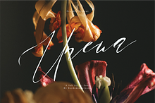 Unewa | A Ink Script Font