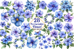 Periwinkle Flower Watercolor Clipart, an Illustration by Watercolor design