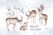 Arctic cute animals.  Watercolor set, an Animal Illustration by Peace ART (Thumbnail 2 of 22)